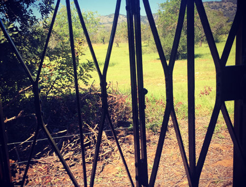 View from the train to Soller
