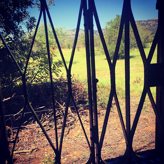 View from the train to Soller